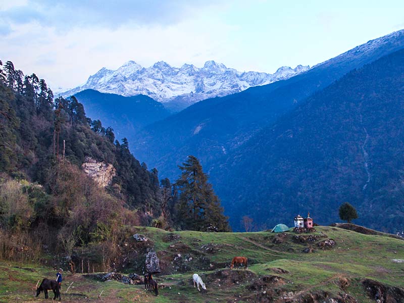 goecha-la-trek-sikkim-india