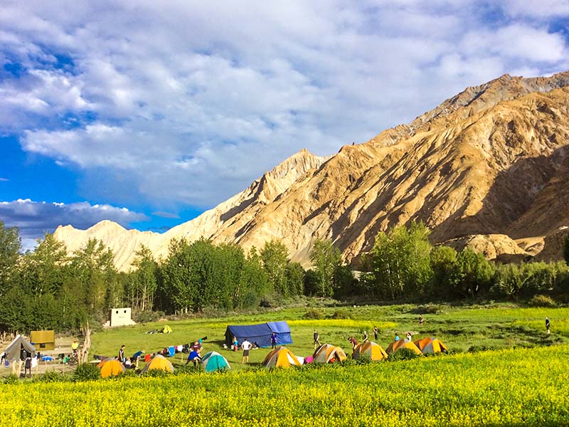 markha-valley-leh-ladakh-india