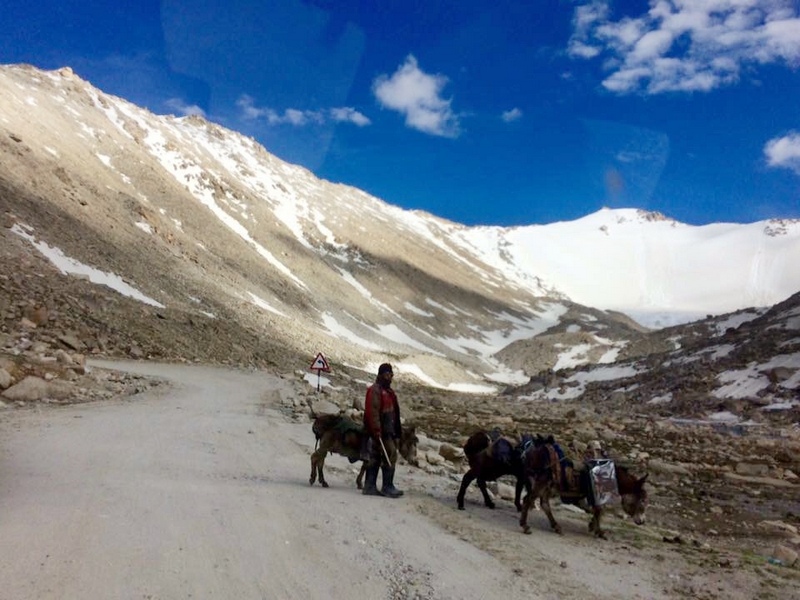 Markha-valley-leh-ladakh-india-3sisters-7to9day-group-hike.jpg